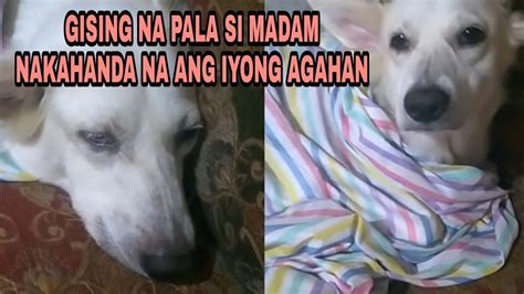 Beh Gising Na Kakain Ka Na .